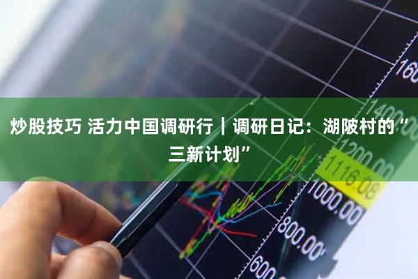 炒股技巧 活力中国调研行｜调研日记：湖陂村的“三新计划”