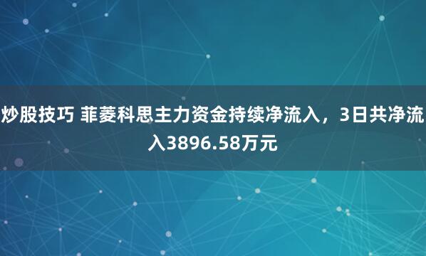 炒股技巧 菲菱科思主力资金持续净流入，3日共净流入3896.58万元